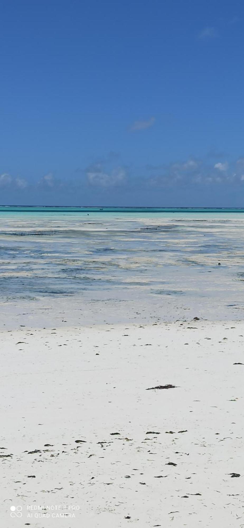 Art Hotel Zanzibar จัมเบียนี ภายนอก รูปภาพ
